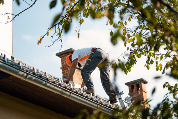 Best Tile Roofing Installation  in Wolcottville, IN